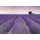 Komar Fototapeten X8-036 Vlies Fototapete - Provence - Größe 400 x 260 cm