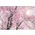 Komar Fototapeten X8-046 Vlies Fototapete - Bloom - Größe 400 x 260 cm