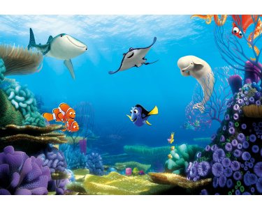 Komar Fototapeten X8-8497 Vlies Fototapete - Finding Dory - Größe 400 x 260 cm