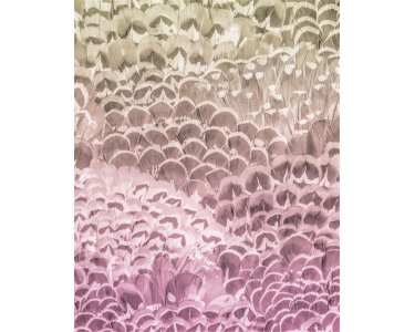 Komar Fototapeten P028-VD2 Vlies Fototapete - Pale Feathers - Größe 200 x 250 cm
