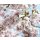 Komar Fototapeten 507-DV3 Vlies Fototapete - Spring - Größe 300 x 250 cm