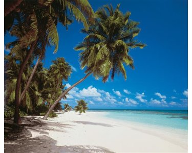 Komar Fototapeten 240-DV3 Vlies Fototapete - Maldives - Größe 300 x 250 cm