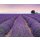 Komar Fototapeten 036-DV3 Vlies Fototapete - Provence - Größe 300 x 250 cm