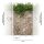 AS 392471 Tapeten A.S Creation The Wall II Vliestapete