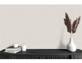 A.S Creation Farben The Color Kitchen TCK1001 Easy Eggshell Grau Dispersion   DD125512V