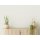A.S Creation Farben The Color Kitchen TCK1008 Shady Sugar Creme Dispersion   DD125526V