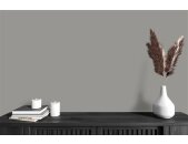 A.S Creation Farben The Color Kitchen TCK1012 Miraculous Mackerel Grau Dispersion   DD125534V