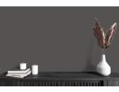 A.S Creation Farben The Color Kitchen TCK1014 Poppy Seed Grau Dispersion 2,5 Liter DD125538