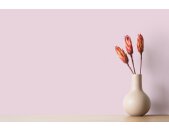 A.S Creation Farben The Color Kitchen TCK2003 Milky Strawberry Pink Dispersion 2,5 Liter DD125560