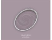 A.S Creation Farben The Color Kitchen TCK2005 Feminine Fig Violett Dispersion   DD125564V