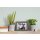 A.S Creation Farben The Color Kitchen TCK3000 Perky Peppermint Grün Dispersion   DD125570V