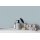 A.S Creation Farben The Color Kitchen TCK3001 Detailed Duckegg Grün Dispersion   DD125572V
