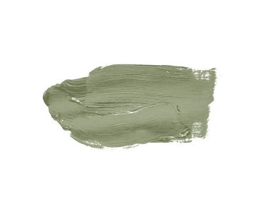 A.S Creation Farben The Color Kitchen TCK4002 Balmy Basil Grün Dispersion 2,5 Liter DD125602