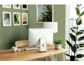 A.S Creation Farben The Color Kitchen TCK4002 Balmy Basil Grün Dispersion 2,5 Liter DD125602