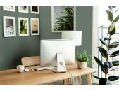 A.S Creation Farben The Color Kitchen TCK4005 Ritzy Rosemary Grün Dispersion 2,5 Liter DD125608