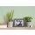 A.S Creation Farben The Color Kitchen TCK4007 Woodruff Cream Grün Dispersion   DD125612V