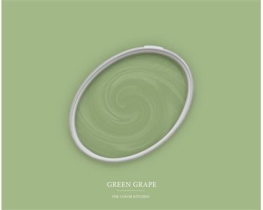 A.S Creation Farben The Color Kitchen TCK4008 Green Grape Grün Dispersion 2,5 Liter DD125614
