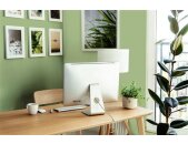 A.S Creation Farben The Color Kitchen TCK4008 Green Grape Grün Dispersion 2,5 Liter DD125614