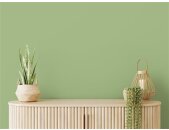 A.S Creation Farben The Color Kitchen TCK4008 Green Grape Grün Dispersion 2,5 Liter DD125614
