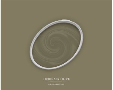 A.S Creation Farben The Color Kitchen TCK4013 Ordinary Olive Grün Dispersion 2,5 Liter DD125624