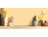 A.S Creation Farben The Color Kitchen TCK5004 Gentel Ginger Gelb Dispersion 2,5 Liter DD125636