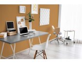 A.S Creation Farben The Color Kitchen TCK5007 Salted Caramel Orange Dispersion 2,5 Liter DD125642