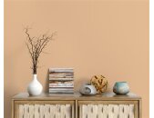 A.S Creation Farben The Color Kitchen TCK5009 Pithy Pancake Beige Dispersion   DD125646V