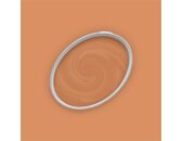 A.S Creation Farben The Color Kitchen TCK5011 Pretty Pumpkin Orange Dispersion 2,5 Liter DD125650
