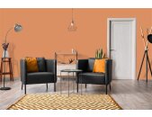 A.S Creation Farben The Color Kitchen TCK5011 Pretty Pumpkin Orange Dispersion 2,5 Liter DD125650