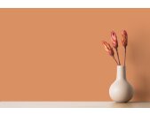 A.S Creation Farben The Color Kitchen TCK5011 Pretty Pumpkin Orange Dispersion 2,5 Liter DD125650