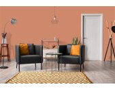 A.S Creation Farben The Color Kitchen TCK5012 Ruddy Rosehip Orange Dispersion   DD125652V