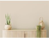A.S Creation Farben The Color Kitchen TCK6000 Sweet Sesame Beige Dispersion 2,5 Liter DD125660
