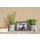 A.S Creation Farben The Color Kitchen TCK6003 Asthetic Artichoke Beige Dispersion 2,5 Liter DD125666
