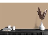 A.S Creation Farben The Color Kitchen TCK6005 Friendly Fennel Braun Dispersion   DD125670V