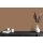 A.S Creation Farben The Color Kitchen TCK6007 Awesome Anis Braun Dispersion   DD125674V