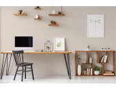 A.S Creation Farben The Color Kitchen TCK6019 Melty Marzipan Creme Dispersion   DD125698V