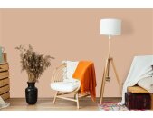 A.S Creation Farben The Color Kitchen TCK6021 Lovely Lentil Orange Dispersion   DD125702V