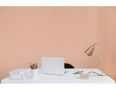 A.S Creation Farben The Color Kitchen TCK6022 Honeydew Melon Rosa Dispersion 2,5 Liter DD125704