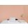 A.S Creation Farben The Color Kitchen TCK6022 Honeydew Melon Rosa Dispersion 2,5 Liter DD125704