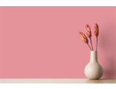 A.S Creation Farben The Color Kitchen TCK7010 Masterfully Macaron Pink Dispersion 2,5 Liter DD125726
