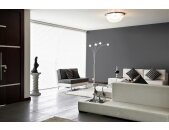 A.S Creation Farben PURO c1006 cool grey Grau Dispersion 1 Liter DD125752