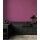 A.S Creation Farben PURO c2008 lovely rose  Pink Dispersion 1 Liter DD125797