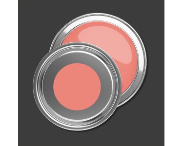 A.S Creation Farben PURO c2029 peachy pink  Pink Dispersion 1 Liter DD125860