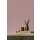 A.S Creation Farben PURO c2030 peachy pink  Pink Dispersion 1 Liter DD125863