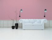 A.S Creation Farben PURO c2031 peachy pink  Pink Dispersion 1 Liter DD125866
