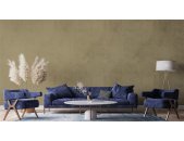 A.S Creation Farben PURO c6006 gentle lime  Grün Dispersion   DD125992V