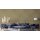 A.S Creation Farben PURO c6006 gentle lime  Grün Dispersion   DD125992V
