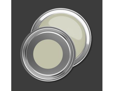 A.S Creation Farben PURO c6007 gentle lime  Grün Dispersion   DD125995V