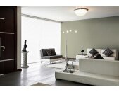 A.S Creation Farben PURO c6007 gentle lime  Grün Dispersion   DD125995V