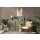 A.S Creation Farben PURO c7002 calm taupe Braun Dispersion 1 Liter DD126010